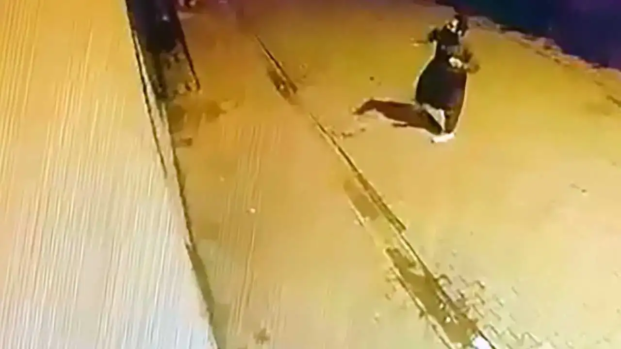 Adana’da Bir Haftada Birden Fazla Eve Taşlı Saldırı İddiası! 2